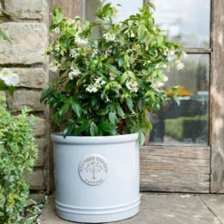 Woodlodge 38cm White / Cream Glazed Heritage Cylinder Pot 6 Woodlodge 38cm White / Cream Glazed Heritage Cylinder Pot -Hozeelock Store 5021346424430