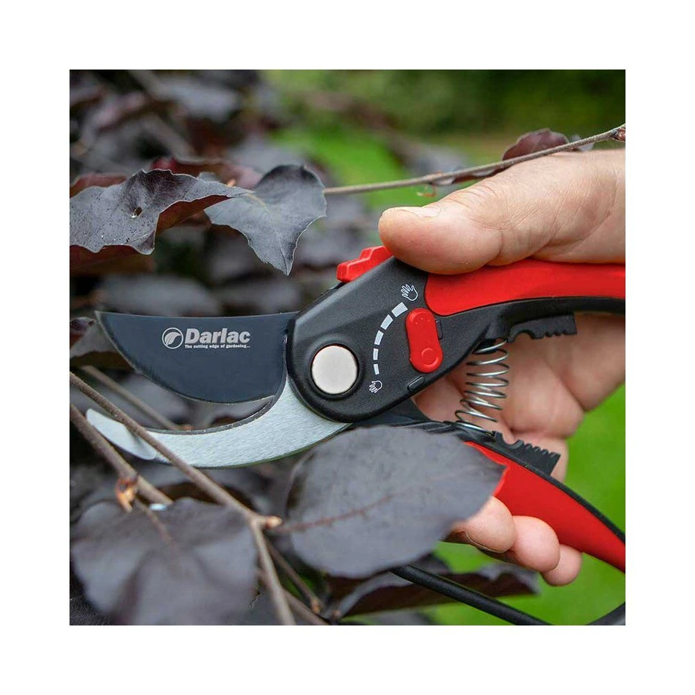 Darlac Adjustable Bypass Pruner 2 Darlac Adjustable Bypass Pruner - Image 2