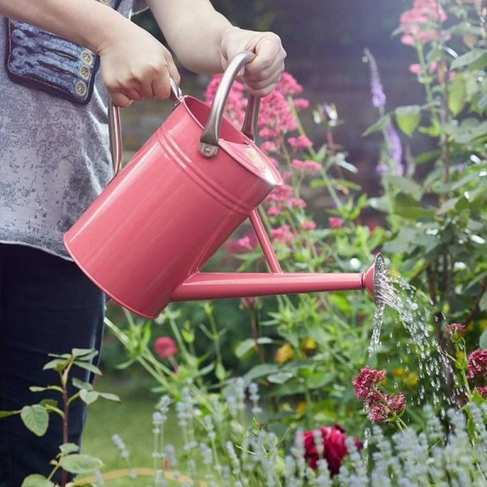 Smart Garden 9 Litre Galvanised Steel Watering Can 2 Smart Garden 9 Litre Galvanised Steel Watering Can - Image 2