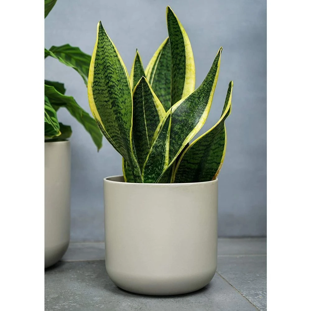 Ivyline 26cm White Lisbon Planter 2 Ivyline 26cm White Lisbon Planter - Image 2