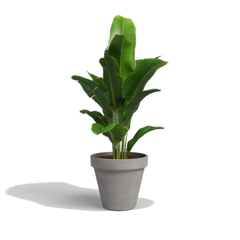 Artevasi 29cm Vulcano Ceramic Amalia Pot 2 Artevasi 29cm Vulcano Ceramic Amalia Pot - Image 2