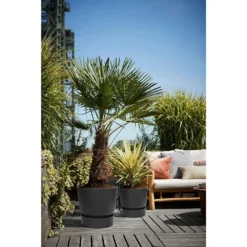 Elho 25cm Living Black Greenville Round Planter -Hozeelock Store 8711904332334 5
