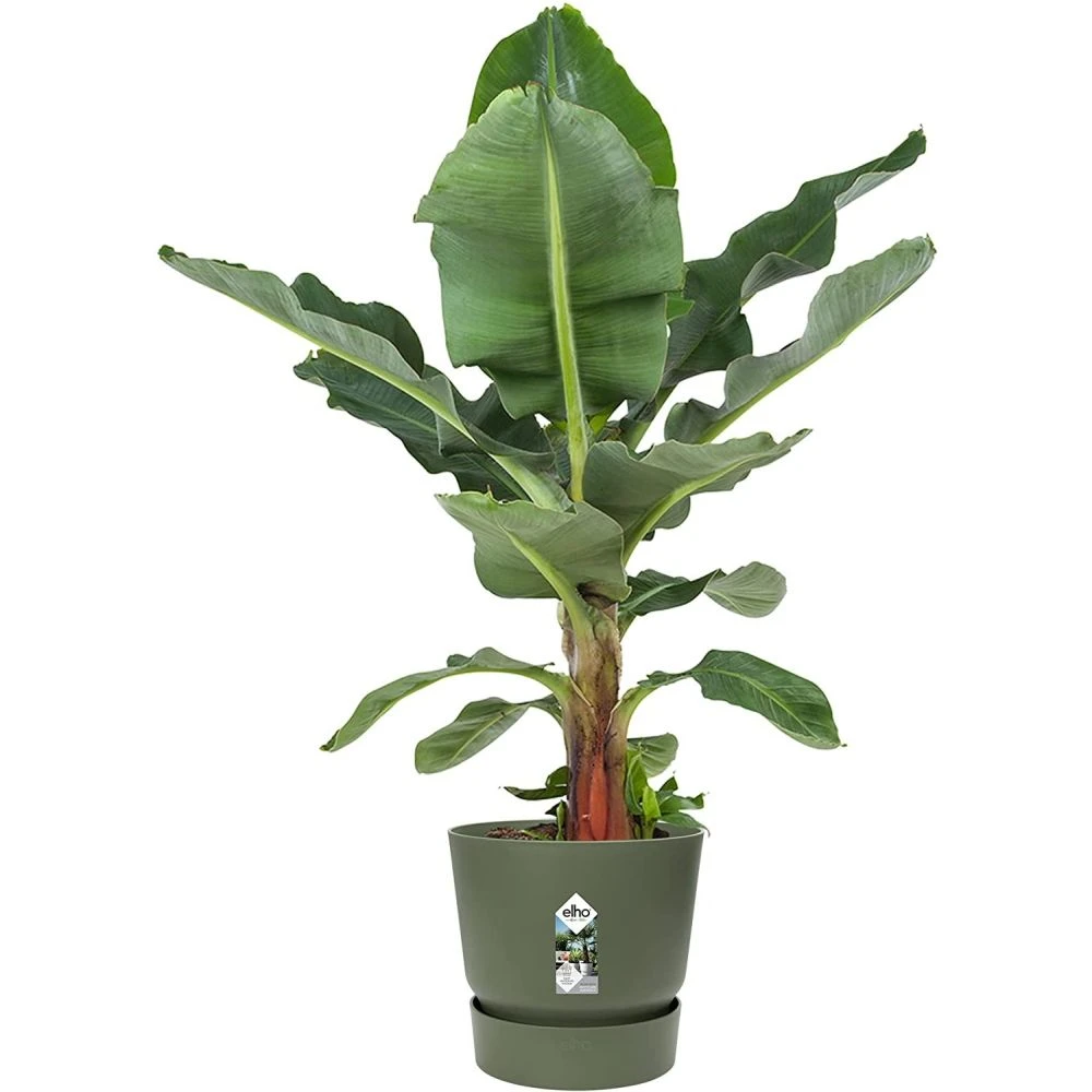 Elho 25cm Leaf Green Greenville Round Planter 2 Elho 25cm Leaf Green Greenville Round Planter - Image 2