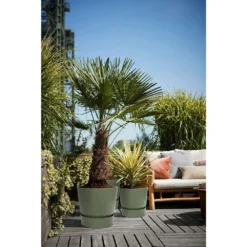 Elho 25cm Leaf Green Greenville Round Planter 8 Elho 25cm Leaf Green Greenville Round Planter -Hozeelock Store 8711904332433 4