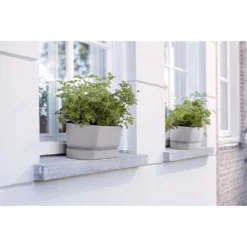 Elho 50cm Living Concrete Greenvillle Long Trough Planter 8 Elho 50cm Living Concrete Greenvillle Long Trough Planter -Hozeelock Store 8711904358440 4