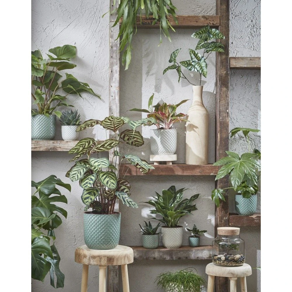 Mica Decorations 17cm Green Daan Houseplant Pot 2 Mica Decorations 17cm Green Daan Houseplant Pot - Image 2